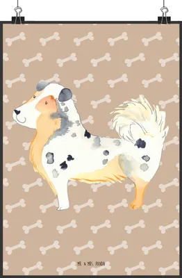 Produktbild von Mr. & Mrs. Panda Bild Hund Australien Shepherd DIN A0 - Hundeglück - Geschenk, Spruch, Posterdruck, Sprüche, kunstdruck poster, wanddeko, drucke, Wandbild