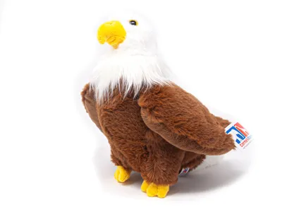 A plush toy eagle against a white background.