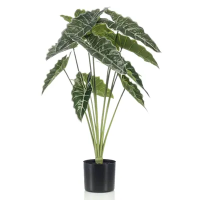 Produktbild von Emerald Kunstfpflanze Elefantenohr im Topf 80 cm