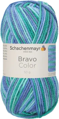 Produktbild von Schachenmayr Bravo Color, 50g Lagune Handstrickgarne