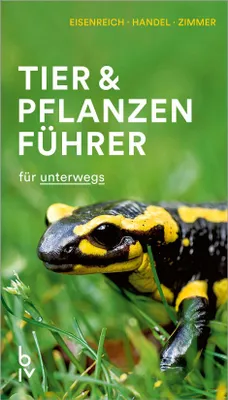 Produktbild von Der BLV Tier & Pflanzenführer