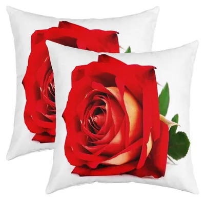 Immagine prodotto di Cuscini decorativi, set da 2, 45x45 cm, motivo floreale, rosso, multicolore, in poliestere