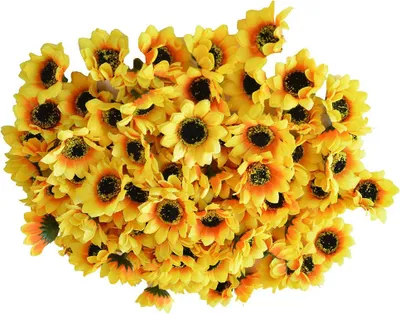 Produktbild von 100 künstliche gelbe Seidensonnenblumenköpfe (ca. 4,5 cm Durchmesser) aus hochwertigem Kunstseiden-Material mit Kunststoffkern – realistisch, formstabil und lichtbeständig. Ideal für Hochzeitsdekoration, Heimdekoration, Gartendekoration, Bastelarbeiten und als Brautschmuck. Jede Blüte besteht aus zwei leuchtend gelben Blütenblättern und bietet eine charmante Mini-Optik. Dank der kompakten Größe eignen sie sich perfekt für Haarspangen, Hüte, Kleidung und Geschenkverpackungen. Das große Set enthält 100 Stück
