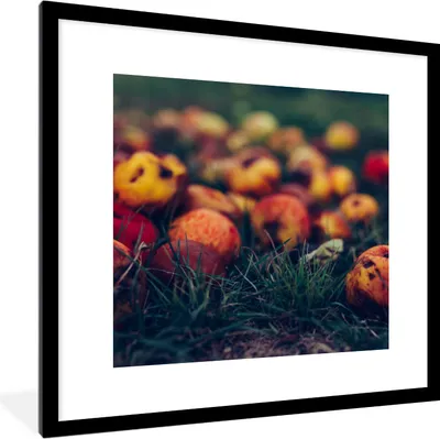 Produktbild von MuchoWow® Gerahmtes Poster Landdekoration - Herbst - Apfel - Obst 40x40 cm - Poster mit Schwarzem Bilderrahmen Wandposter Rahmen Foto Bilder - Poster - Plakat im Rahmen