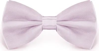 Obrázok produktu pre Motýlik v odtieni fialovej, nastaviteľná veľkosť, z polyesteru, jednofarebný, úzky, 12 cm