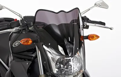 Produktbild von ERMAX Naked-Bike-Scheibe fÃ1/4r XJ6 RJ19/RJ22 für XJ6 RJ19/RJ22