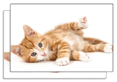 Produktbild von Wallario Frühstücksbrettchen 2er Set aus Glas, je 20 x 30 cm, mit rutschfesten Füßen, Motiv Süße Katze mit großen Augen - rot weiß getigert