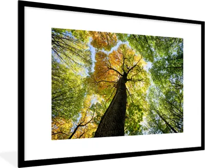Produktbild von MuchoWow® Gerahmtes Poster Baum - Natur - Wald 90x60 cm - Poster mit Schwarzem Bilderrahmen Wandposter Rahmen Foto Bilder - Wanddekoration - Fotos