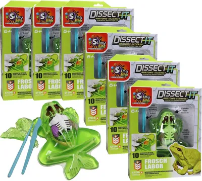 Produktbild von 6er Set Anatomie Sezierset Frosch 6+ Slimy Lab dissect-it für 6 Kinder