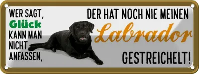 Produktbild von vianmo Blechschild 10x27 cm Labrador Hund gestreichelt Tier Haustier