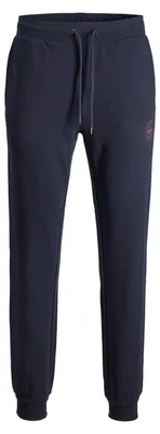 Produktbild von Jack & Jones 12165322, Joggers, Erwachsener, Blau, S, Baumwolle, Nicht bleichen