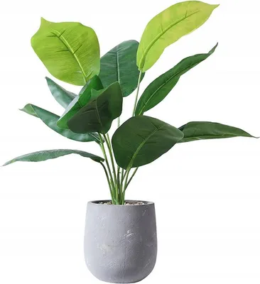 Immagine prodotto di PIANTA ARTIFICIALE IN PISCINA REALISTICA 45cm FIORE ORIZZONTALE per l'UFFICIO DI CASA