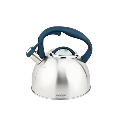 Produktbild von MICHELINO 2,5L Edelstahl Flötenkessel Teekessel Kessel SILBER Griff:Petrol 11405