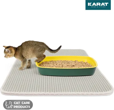 Produktbild von Katzenstreumatte Charly Doppelschichtiges Waben-Design 61 x 38 cm Grau