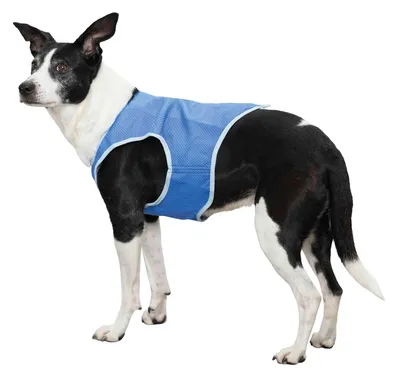 Produktbild von TRIXIE 30134, Hund, Jacke, L, Blau, Einfarbig, 350 mm