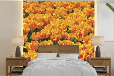 Produktbild von MuchoWow® Fototapete für Wohnzimmer oder Schlafzimmer Wandtapete Vinyl Motivtapete Orangefarbenes Tulpenfeld - 240x240 cm - Schlafzimmer-Tapete