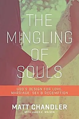 Produktbild von The Mingling of Souls