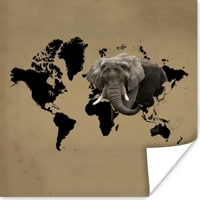 Produktbild von MuchoWow® Poster Weltkarte - Elefant - Braun 50x50 cm - Wohnzimmerdekoration