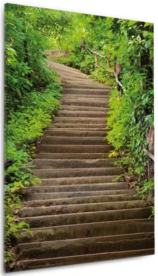 Produktbild von Wallario Premium Leinwandbild Steintreppe im Wald in Größe 60 x 90 cm