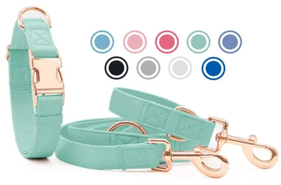 Leder-Hundehalsband & Leine (2 m), verstellbar, Grün, L