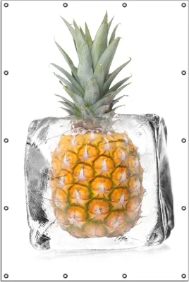 Produktbild von Wallario Outdoor-Poster für Garten oder Balkon, Motiv Ananas in Eiswürfel - Eiskaltes Obst, in ca. 120 x 180 cm