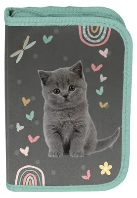 Image de Étui à crayons Lovely Cat PP26CS-P001 - PASO