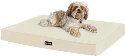 Immagine prodotto di Cuccia ortopedica per cani, spessore 8 cm, beige, impermeabile e antiscivolo