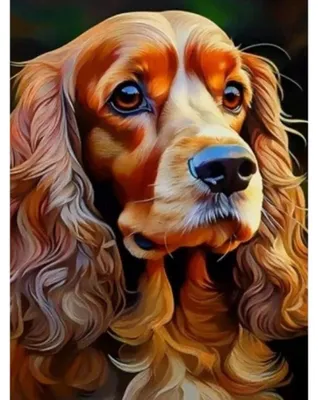 Produktbild von NORIMPEX Diamond Kleiner Cockerspaniel 30x40cm