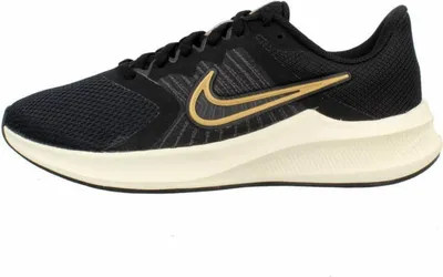 Image de Nike Chaussures Wmns Downshifter 11, CW3413002