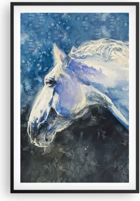 Produktbild von Gerahmtes Poster - Schwarzer Rahmen - Pferd Aquarell Porträt - 61x91,5 cm - Wand Bild - Wanddeko - Wandbilder - Kunstposter - Wandposter - Bilderrahmen - Bilder - Kunstdruck - Wandbild P2BPA61x91-4272