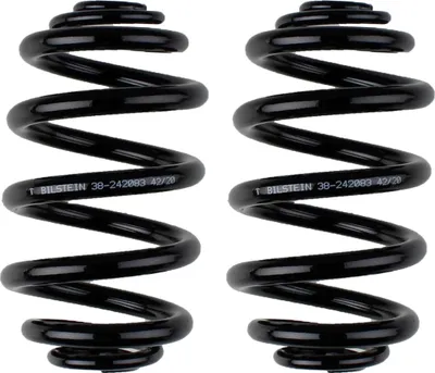 Productafbeelding van Set veren voor de achteras, BILSTEIN. Aftermarket-expertise voor BMW X3