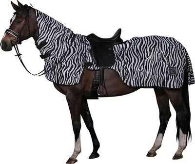 Produktbild von Fliegen Ausreitdecke Zebra  Ausreitdecke Zebra, Größe:M