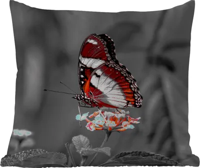 Produktbild von MuchoWow® Outdoor Kissen - Schmetterling - Tiere - Blumen - Schwarz und weiß - Orange - 50x50 cm - Wetterfest - Lounge Kissen - Komfortabel - Kissen mit Bild