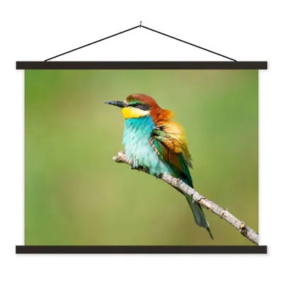 Produktbild von MuchoWow® Textilposter Vogel - Tiere - Bienenfresser 40x30 cm mit schwarzem Rahmen - Dekorationen