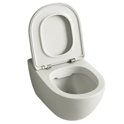 Produktbild von Rimless-WC-Becken mit Soft-Close-Funktion, duroplastische Keramik, Wirbelspülung, 49 cm