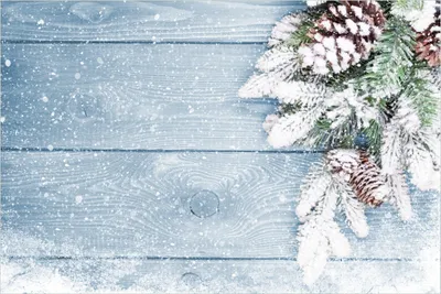 Produktbild von Wallario Premium Glasbild, freischwebende Optik, kräftige Farben, Größe 90 x 60 cm Motiv Verschneite Tannenzweige auf Holz - Winterdekoration