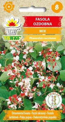 Zdjęcie produktu dla Fasola ozdobna MIX mieszanka Nasiona Kwiatów - 496 Toraf