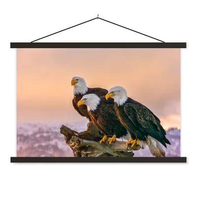 Produktbild von MuchoWow® Textilposter Vögel - Natur - Raubvögel - Adler 60x40 cm mit schwarzem Rahmen - Hölzernes