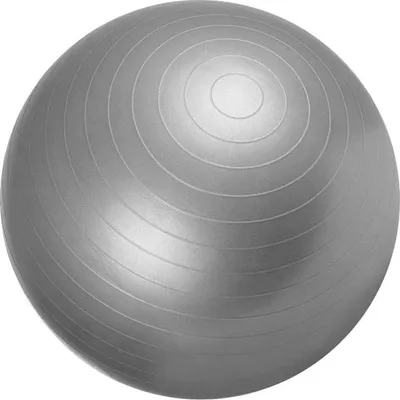 Obrázek produktu pro Gorilla Sports Gymnastický míč, 55 cm, šedý