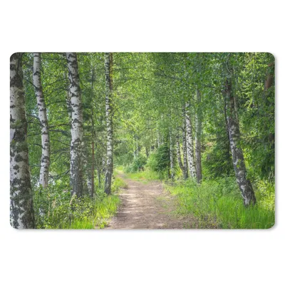 Produktbild von MuchoWow® Mauspad Mousepad Wald - Bäume - Birke 27x18 cm - Mousepads - Maus Mat - Pad - Mausunterlage - Büroartikel - Desk Matten