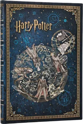 Produktbild von Notizbuch "Legenden von Hogwarts", Midi, spezielle Ausführung, unliniert