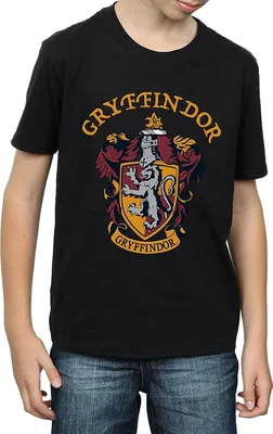 Produktbild von Harry Potter - T-Shirt für Jungen BI769 (140-146) (Schwarz)