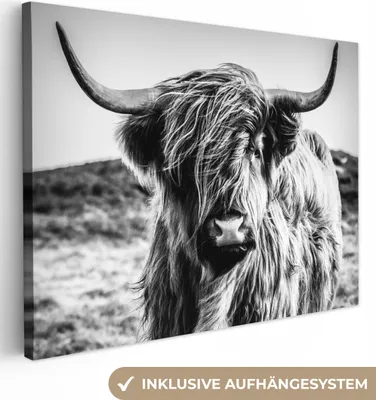 Produktbild von OneMillionCanvasses® - Plátno - Skotský horal - Příroda - Kráva - Černá - Bílá, nástěnná malba, nástěnné dekorace obrazy obývací pokoj, 120x90cm