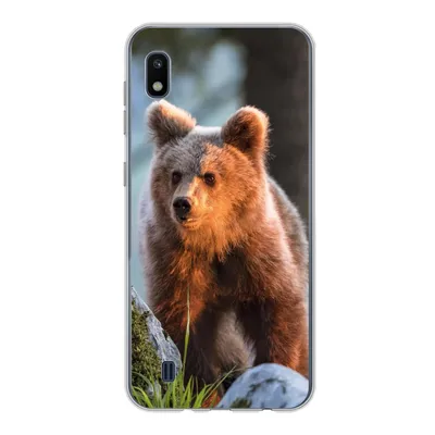 Produktbild von MuchoWow® Handyhülle Schutzhülle Hülle für Samsung Galaxy A10 Bär - Braun - Tier Silikon Softcase Handy Hülle - Schutzhülle