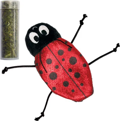 Immagine prodotto di KONG Coccinella con erba gatta ricaricabile