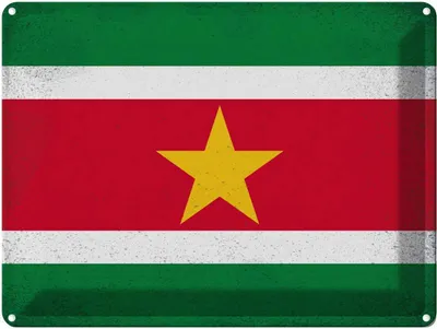 Produktbild von vianmo Blechschild 30x40 cm Suriname Flagge Fahne Wappen
