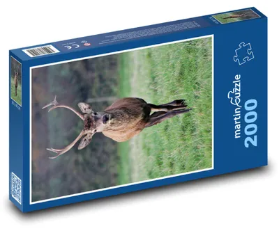 Obrázek produktu pro martinpuzzle - Puzzle 2000 - Jelen