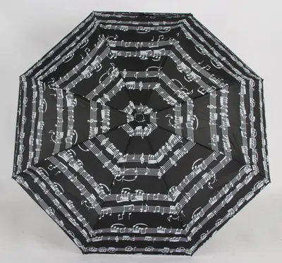 Produktbild von Teleskop Taschenschirm mit Schutzhülle 100 cm mit Notenmuster Fiberglasgestell Schwarz
