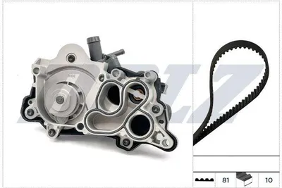 Image de Kit de courroie de distribution DOLZ KD317 + pompe à eau pour VW Golf VII berline (5G1, BQ1, BE1, BE2), Polo berline (6R1, 6C1), Passat Variant (3G5, CB5) et TIGUAN