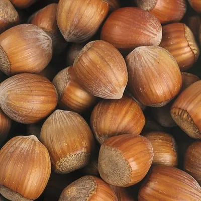 Immagine prodotto di Nocciola Truchsessa 2L
